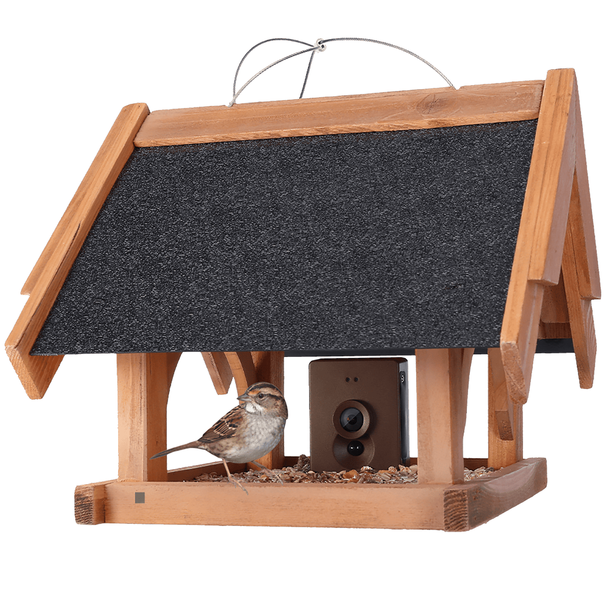 Maginon VFK 1 Vogelhaus Kamera Maginon